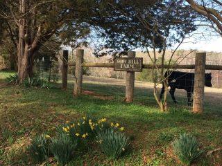 Upstate Forever secures 4 new conservation easements, achieves renewed accreditation