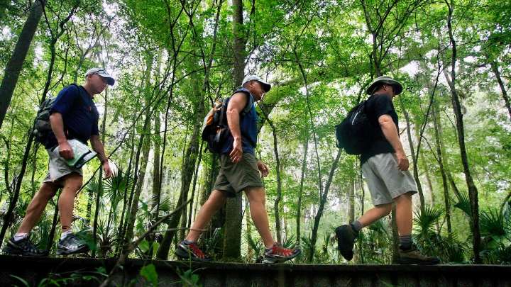 Florida state parks face $759 million backlog of needed repairs, state report finds