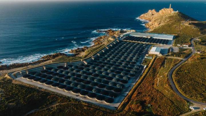 La Región de Murcia apuesta por la accesibilidad de la acuicultura