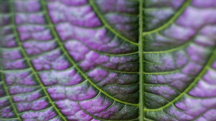 Is God bound by logic?