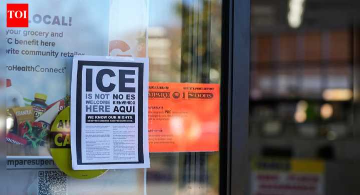 US Immigration lawyer says ICE isn't targeting criminals, they are arresting 'people who don't look like me'