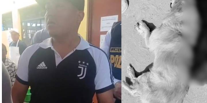 Crueldad en Chiclayo: carnicero es acusado de matar a perro con machete por llevarse un hueso