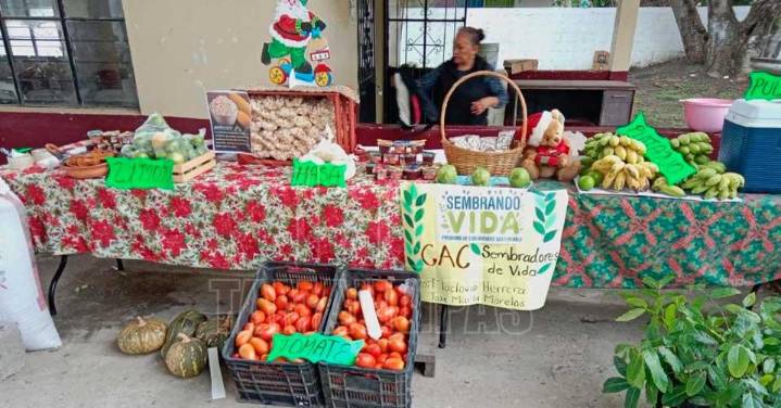 Productores de “Sembrando Vida” realizan su propia expo rural en Altamira