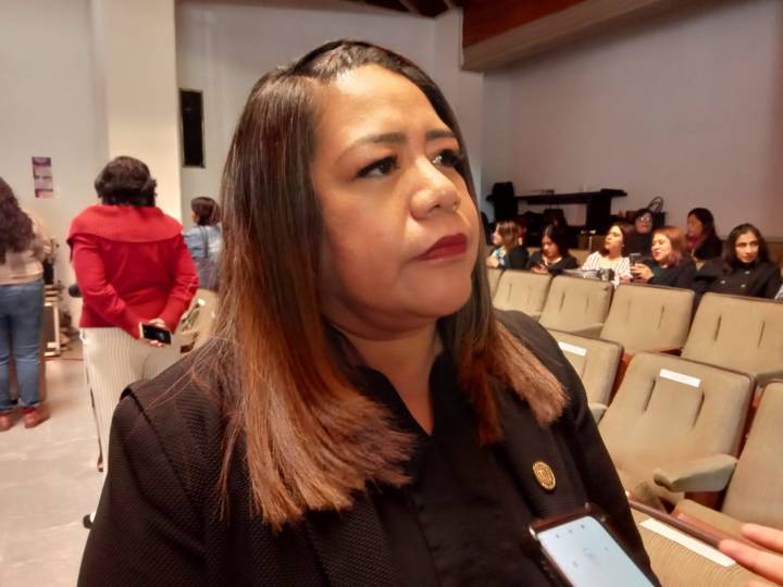 Congreso niega que SCJN haya despenalizado el aborto en Tlaxcala: “Solo se eliminaron candados”: León
