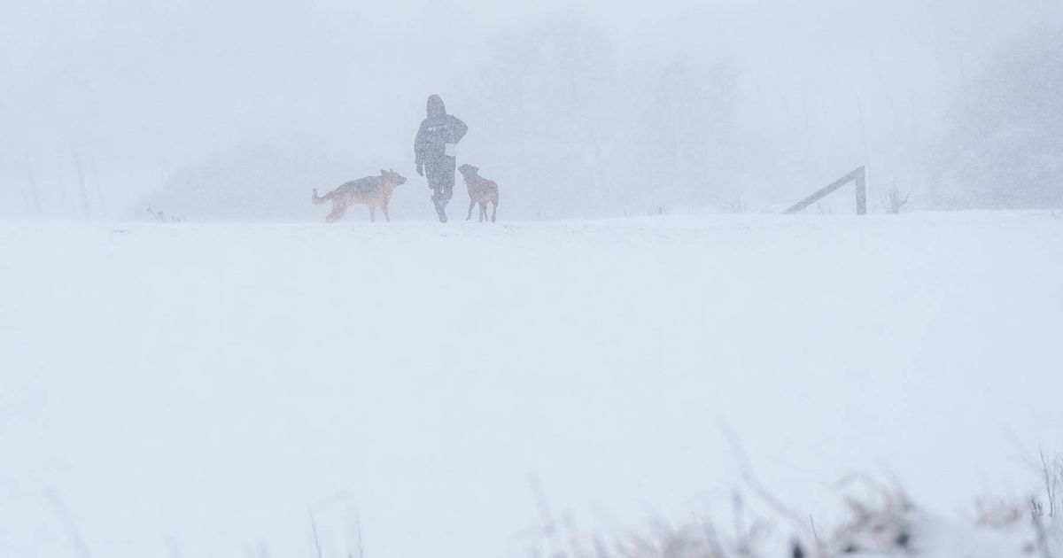 Snow maps show where Brits could see white Christmas