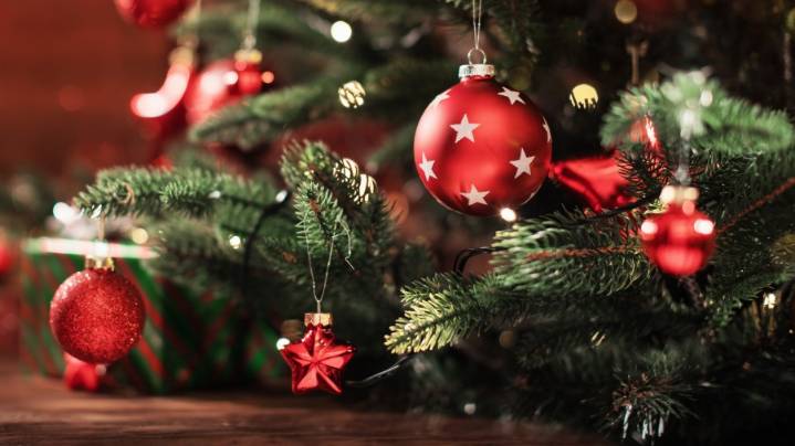 The NYS Tree Lighting Ceremony and Fireworks Festival: Sunday December 7th