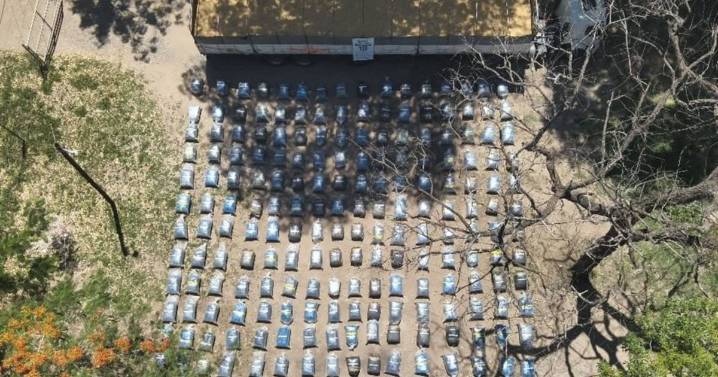 Secuestro millonario en Salta: Incautan casi cinco toneladas de hojas de coca ocultas en un camión con alimento