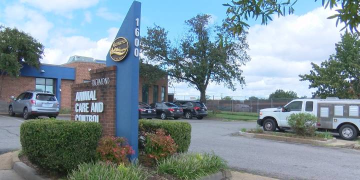 Local nonprofits seek donations during Giving Tuesday campaign