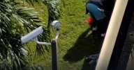 Miami police use drone to help capture alleged domestic dispute suspect