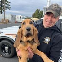 Frederick County Sheriff’s Office welcomes new bloodhound