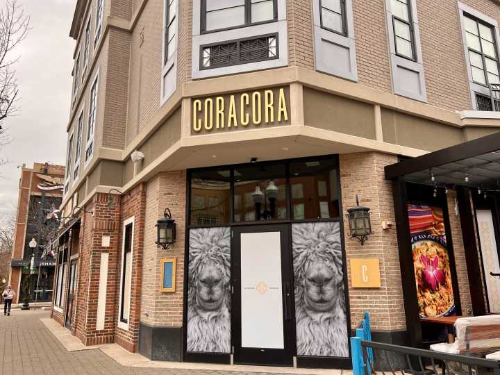 Coracora Announces Opening Date for Flagship Location in West Hartford’s Blue Back Square