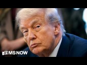 Fired immigration judge sues Trump admin: 'They fired me for protected class'