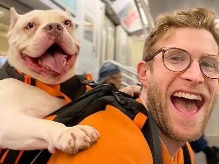 He carries shelter dogs around to help get them adopted