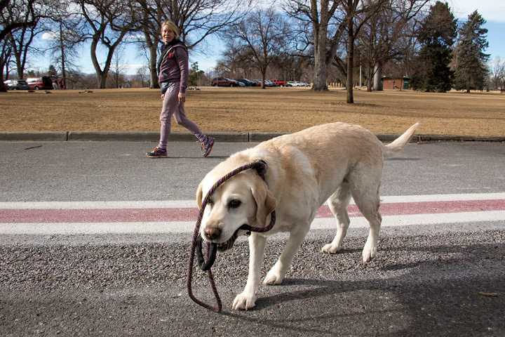 Does anyone enforce Denver’s off