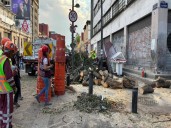 Ráfaga de viento derriba árbol en calles del Centro