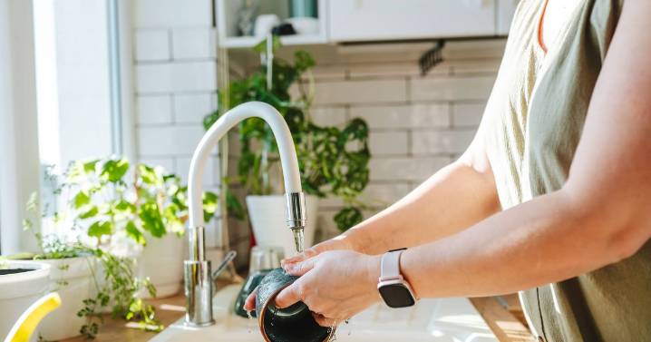 People using 'American' method to wash dishes accused of 1 thing