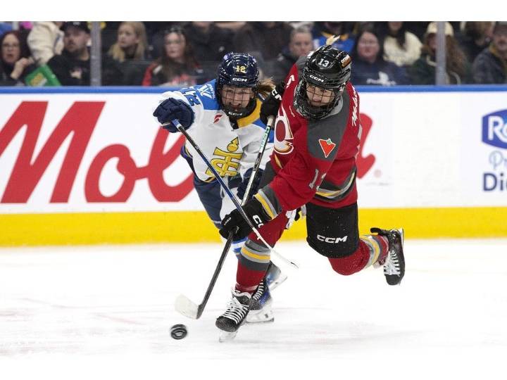 Halifax ‘an awesome market’ for Professional Women’s Hockey League franchise