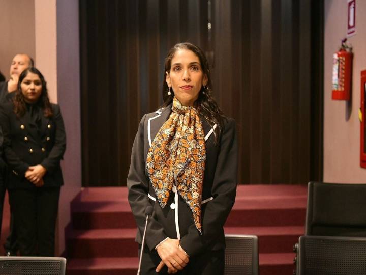 Renuncia fiscal de Veracruz, Verónica Hernández Giadáns