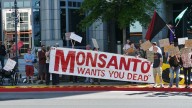 Monsanto Buys Naming Rights to Mennonite Church
