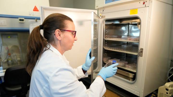 ‘The choice isn’t between domestic and foreign talent; the nation was built on both’