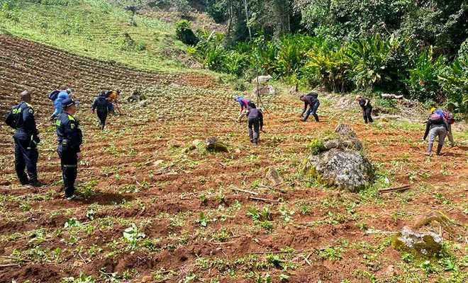 cabo iniciativas para salvaguardar el entorno natural de los Farallones