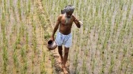Why farmers bristle at Centre’s draft Seed Bill 2025 as feedback deadline nears