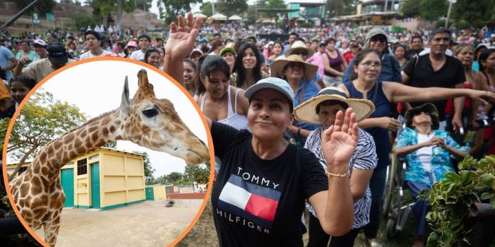 ¿Ya no habrá zoológicos públicos en el Perú? Asociación rechaza propuesta de Guido Bellido de clausurarlos