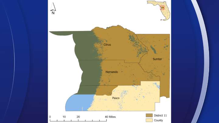 Special Election Day for vacant State Senate District 11 seat