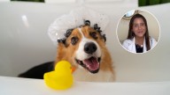 Laura Londoño, veterinaria: “Si no bañas a tu perro cada este tiempo, puede empezar oler a muy mal”