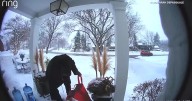 VIDEO: Family has holiday gifts stolen by porch pirate