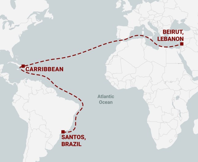 Cocaine cows: How cartels use livestock to smuggle drugs to Europe