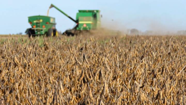 El Gobierno anunció una baja en las retenciones: así quedan las nuevas alícuotas