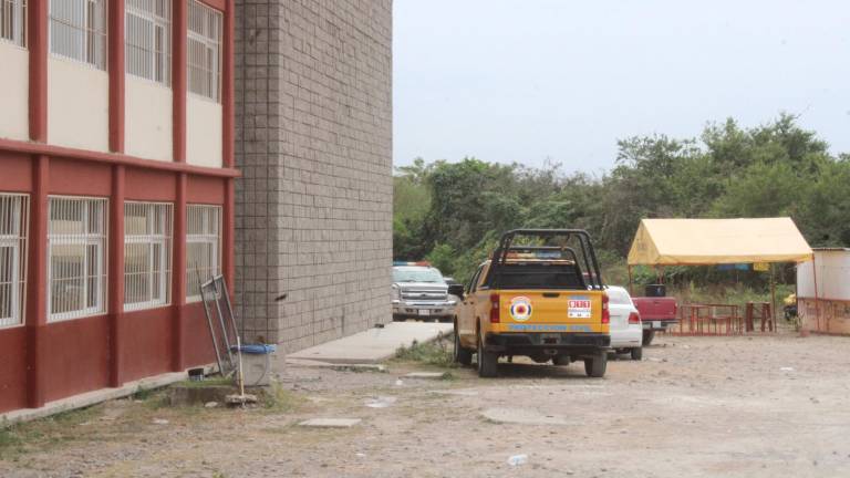 De nuevo se registra ataque de abejas en la UAdeO en Rosario