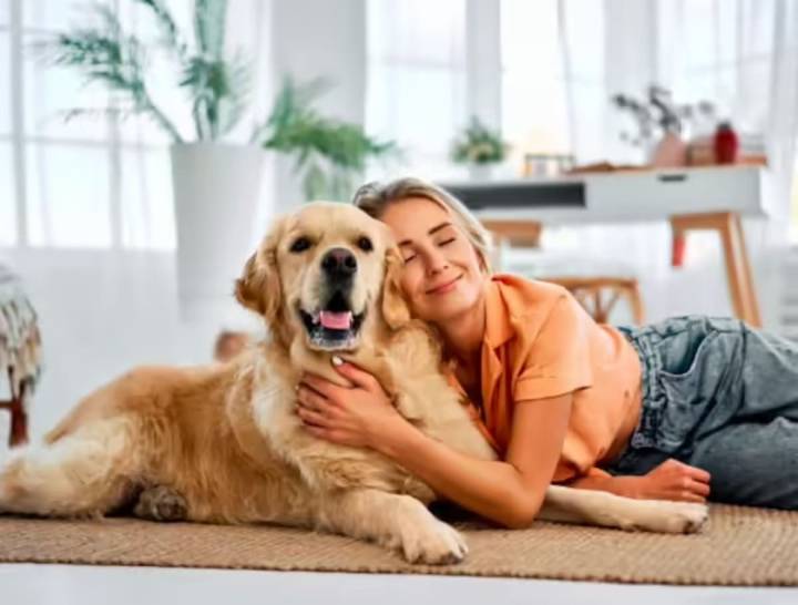 Año Nuevo. Cómo proteger a las mascotas del ruido los fuegos artificiales