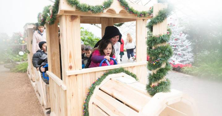 Fern's Fairylight Express at Foellinger-Freimann Botanical Conservatory
