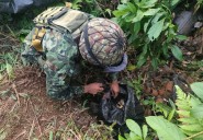 Ejército destruye depósito ilegal con más de 100 minas antipersonal en zona rural de Tumaco