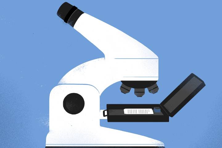 Should I hold Telus and Northland Power, or walk away?