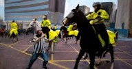 Newcastle fan gave 'feeble excuse' for punching horse before Sunderland clash