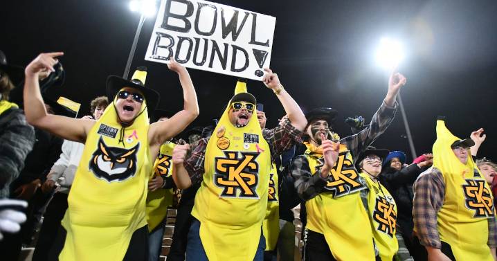 As UGA, KSU vie for conference titles, 3 Georgia teams host playoff games