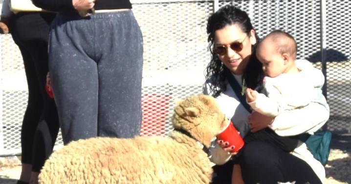 A magical day: Weather cooperates for Bullhead City Christmas event