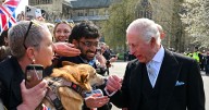 Kennel Club given new name thanks to King Charles