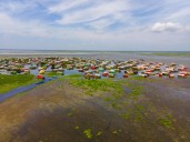 Corpamag intensifica acciones contra la proliferación de Hydrilla en la Ciénaga Grande