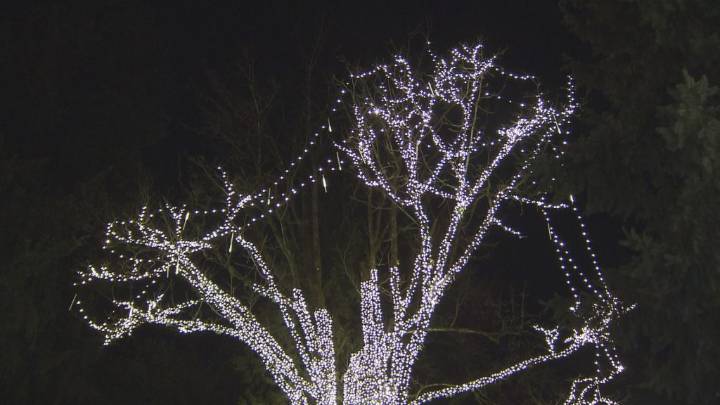 WorkSafeBC warns of ladder injuries ahead of holidays