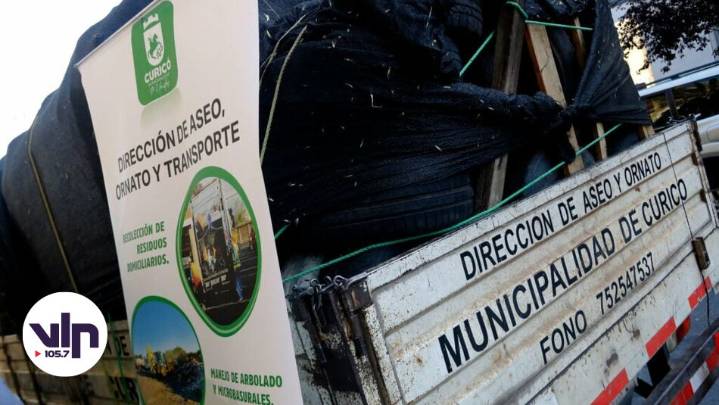 Municipio de Curicó retiró más de 700 neumáticos abandonados de la vía pública