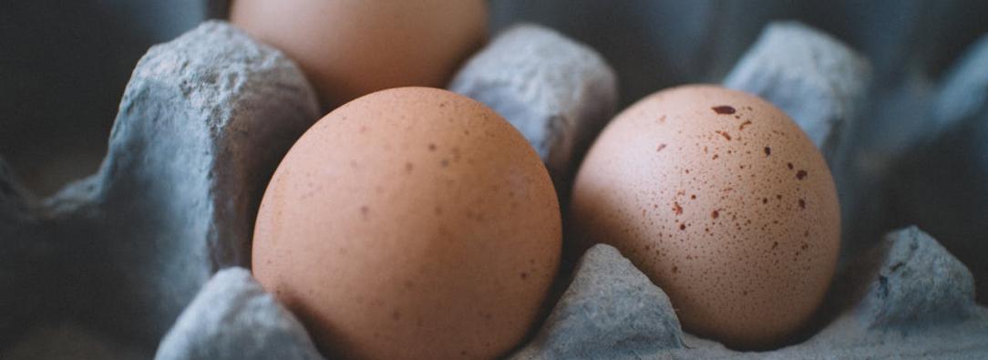 Colombia abre mercado estadounidense para exportación de huevos