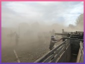 CHACO: Golpe Al Abigeato: Secuestran Bovinos Y Buscan A Un Prófugo