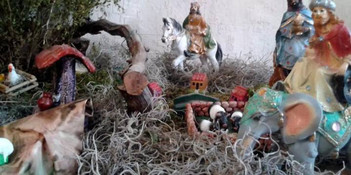 ¿Usas musgo en Navidad? La UNAM advierte por su impacto ambiental