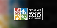 Omaha’s Henry Doorly Zoo welcomes new rockhopper penguin chick