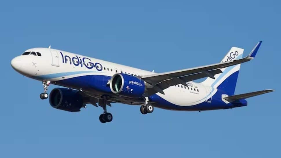 Chaos In The Skies: Why Over 200 IndiGo Flights Collapsed Across India This Week