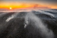 In 1939, a Royal Commission found burning forests leads to more bushfires. But this cycle of destruction can be stopped